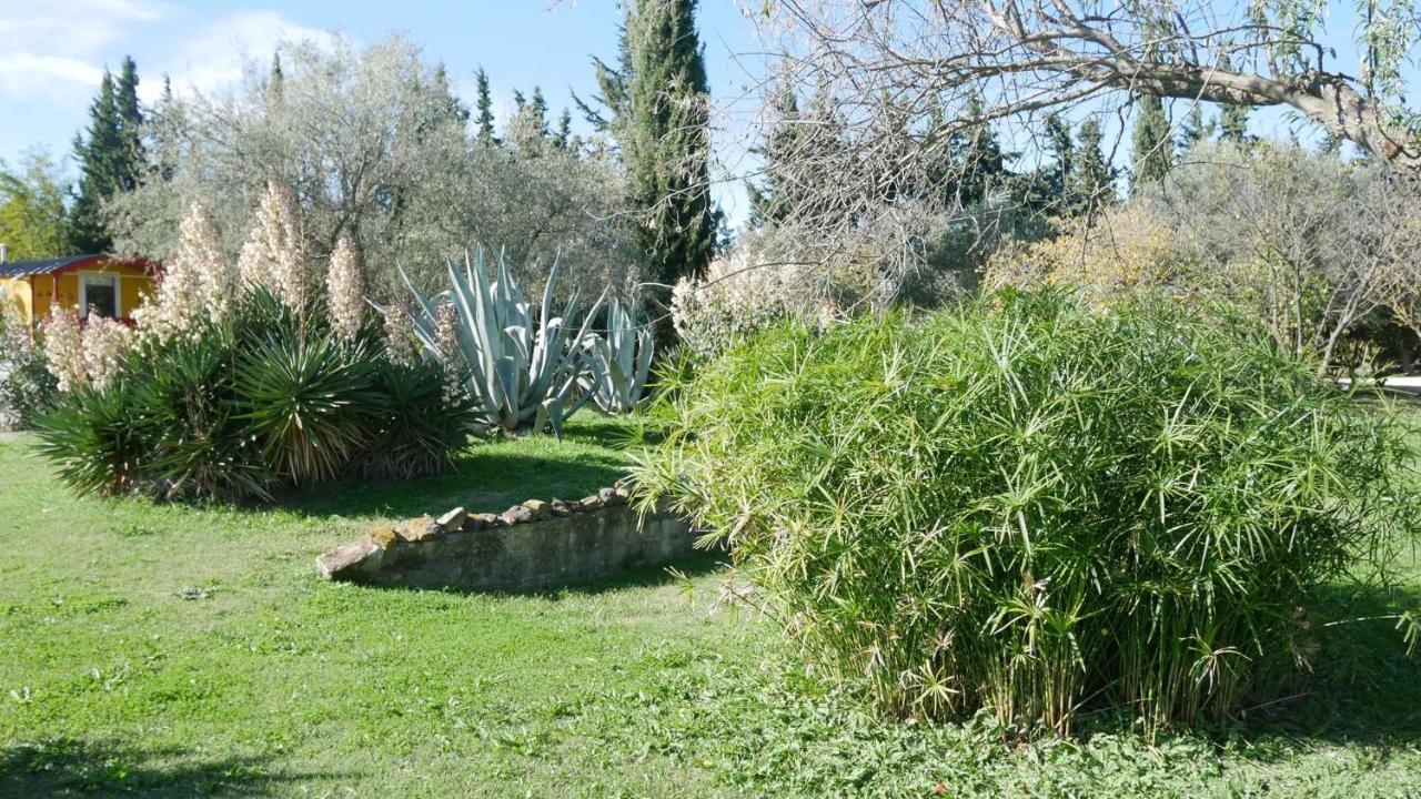 Mas Maurane-Roulotte Avec Spa Prive Aux Portes D'Arles Tarascon Ngoại thất bức ảnh